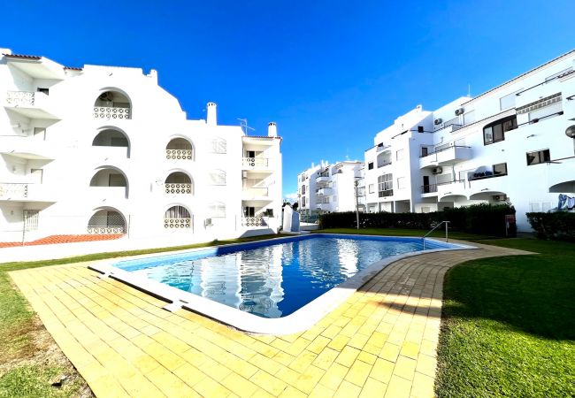 Apartment in Albufeira - ALBUFEIRA DOWNTOWN WITH POOL by HOMING