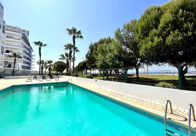 Apartment in Quarteira - QUARTEIRA OCEAN BREEZE 1 WITH POOL by HOMING