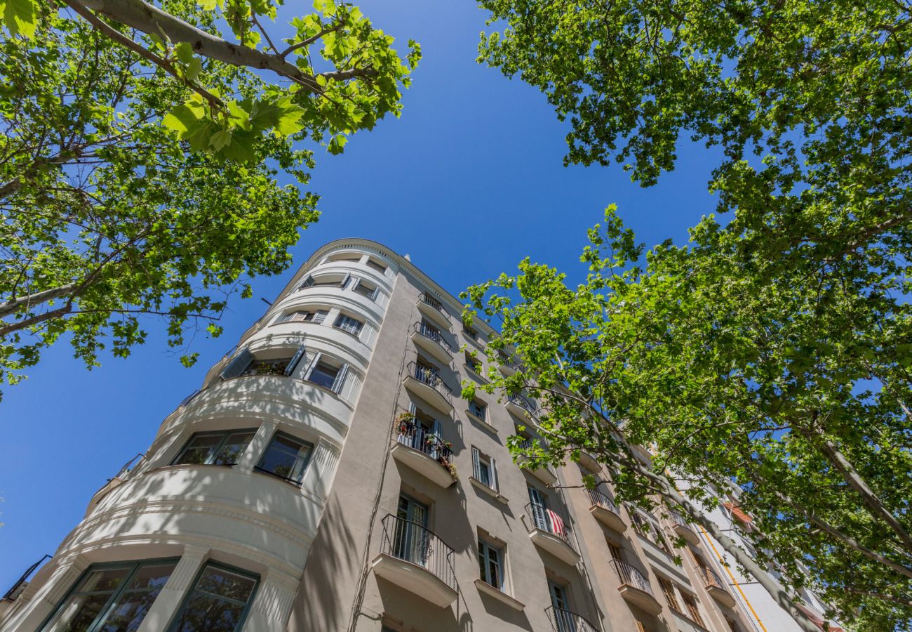 Apartamento en Barcelona - ATIC CIUTADELLA PARK, 2 double bedrooms