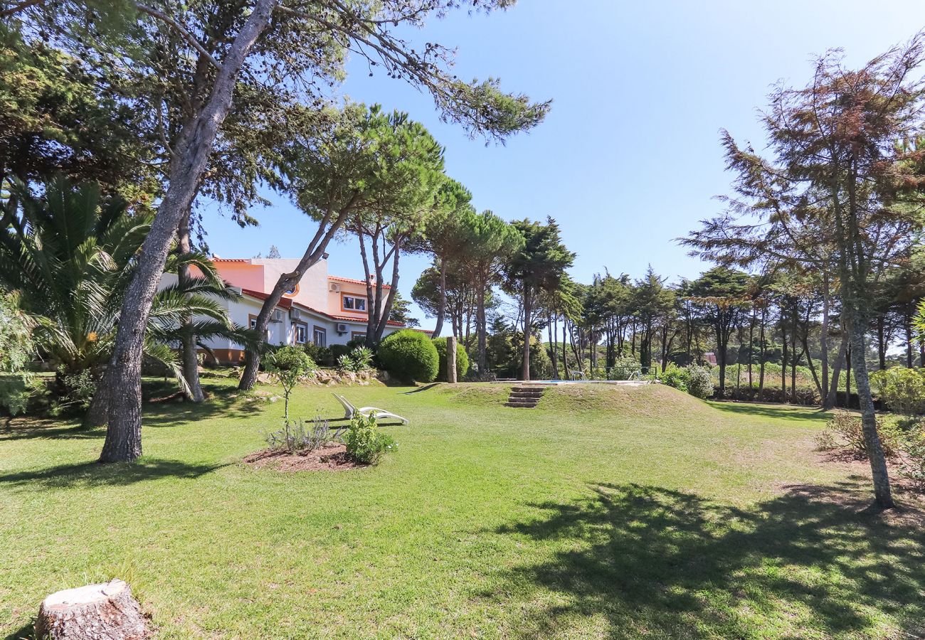 Villa à Sintra - SINTRA CLASSIC VILLA by HOMING